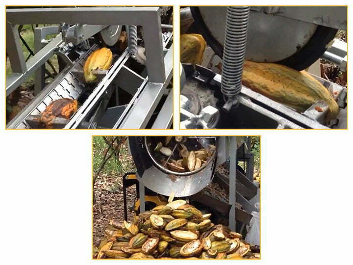 green cocoa bean seperator machine