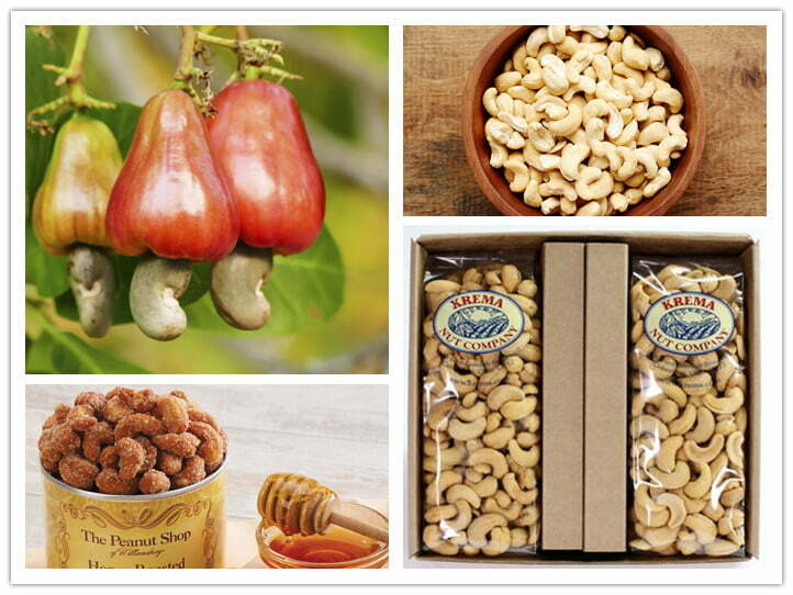 finished products of cashew nut processing machine