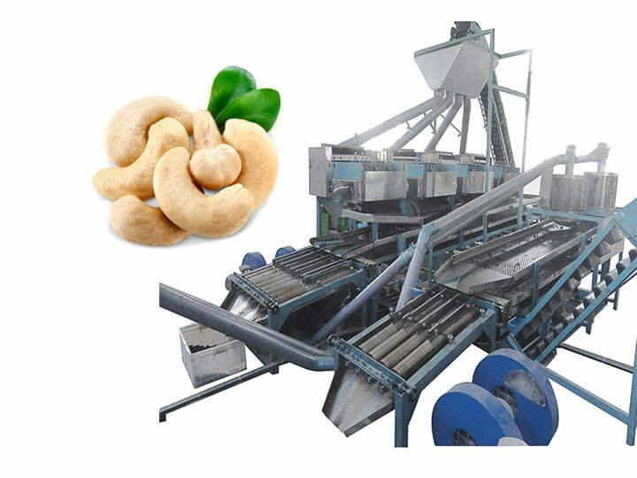 automatic kaju cashew processing equipment