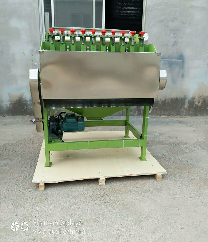 cashew peeler machine export to Sri Lanka
