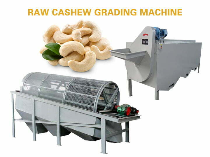 raw cashew nut grading machine