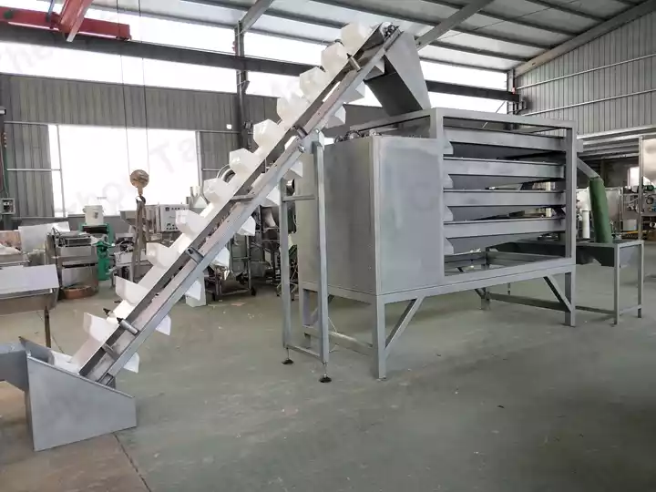 Automatische Erdnusskernsortierer