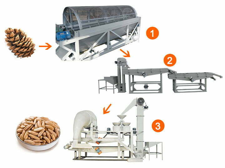 Brazil pine nut production line
