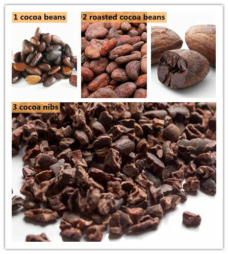 cocoa bean processing