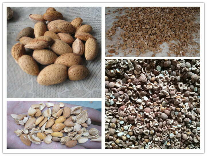 almond shelling effect