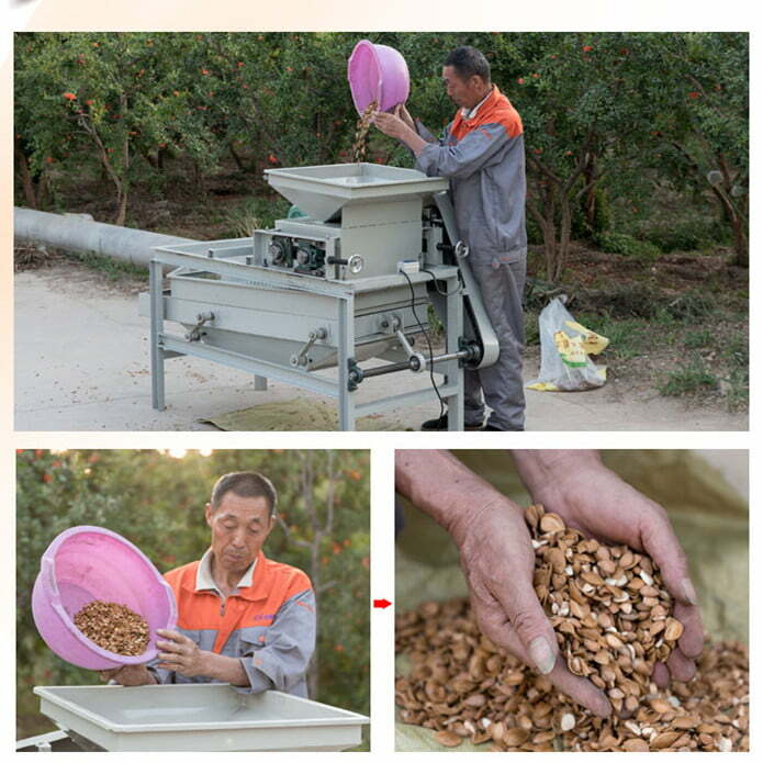 almond cracking machine work