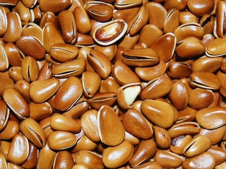 pine nuts