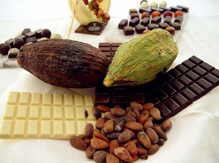 venezuelan cocoa beans