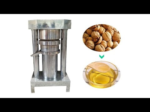 Walnut oil press machine  cold press walnut oil extraction machine