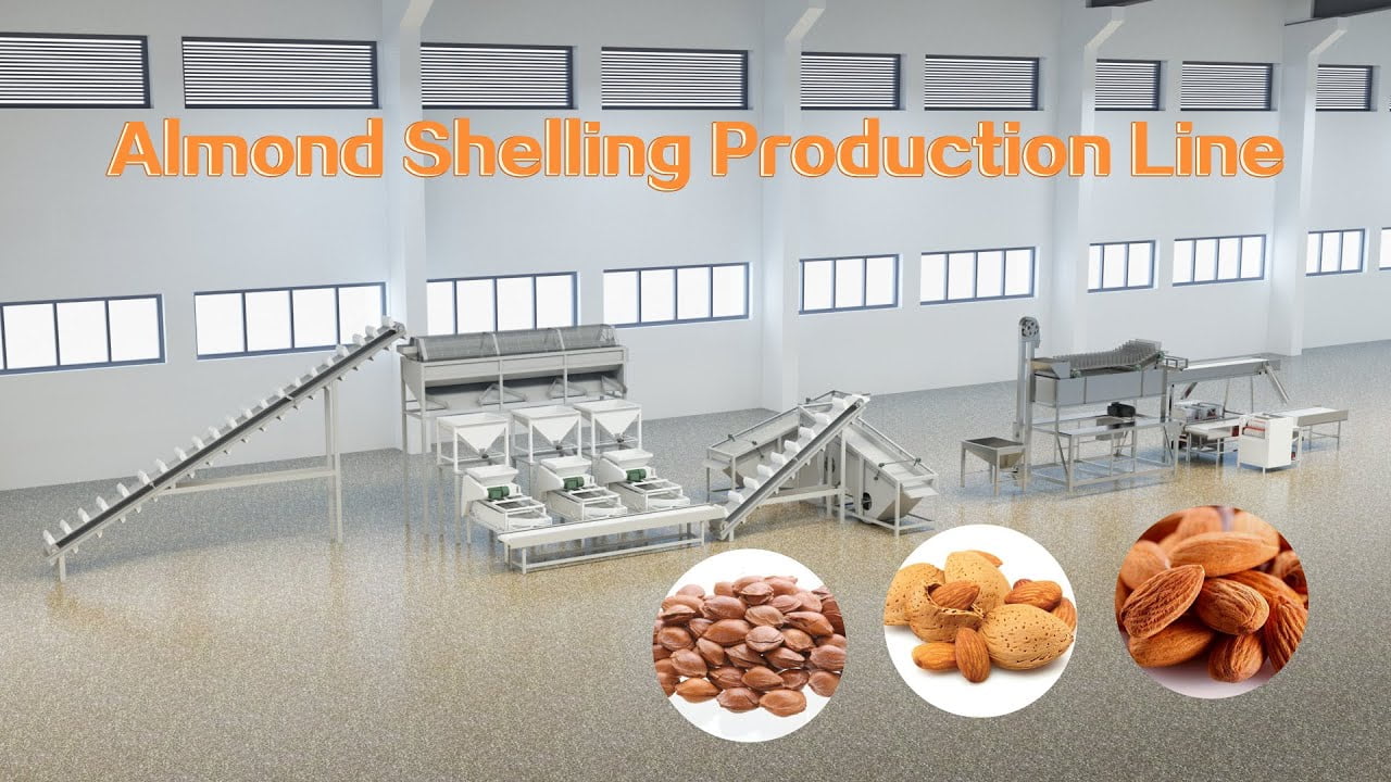 Wet Type Almond Peeling Machine  Compact Nut Peeling Machine Suitable for  Almonds Peanuts and Other Nuts