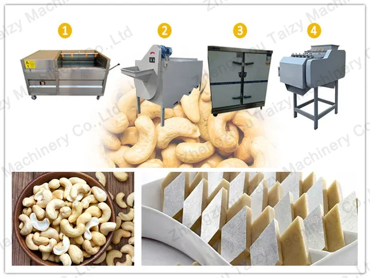 https://nuts-machine.com/wp-content/uploads/2023/06/application-of-kaju-cashew-processing-machine.webp