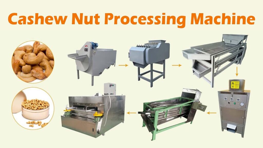 cashew processing machinery