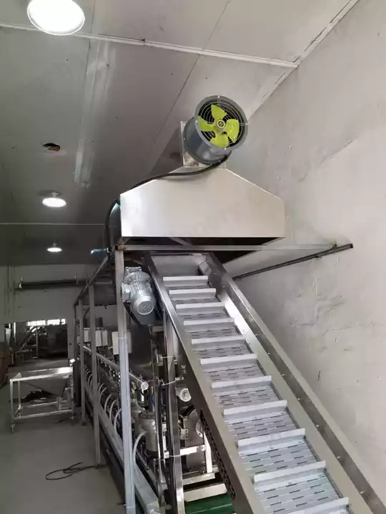 榛子提升机