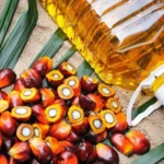 palm oil