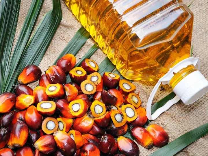 palm oil