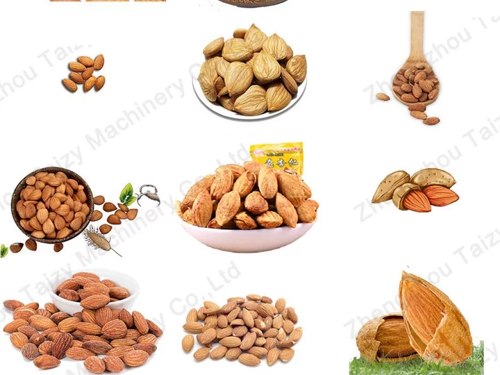 Imagen terminada de varios frutos secos