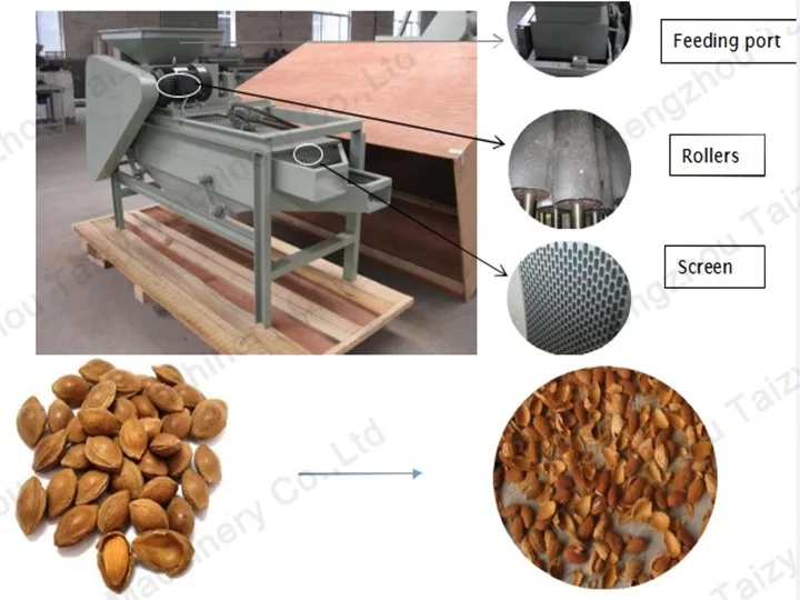 Separador de Almendras Taizy