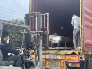 Hazelnuts shelling line being loaded for shipment