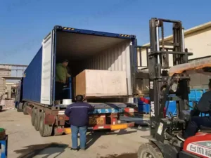 हेज़लनट्स को छांटा गया और बॉक्स में पैक किया गया