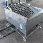 Green Walnut Peeling Machine