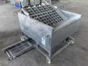 Green Walnut Peeling Machine