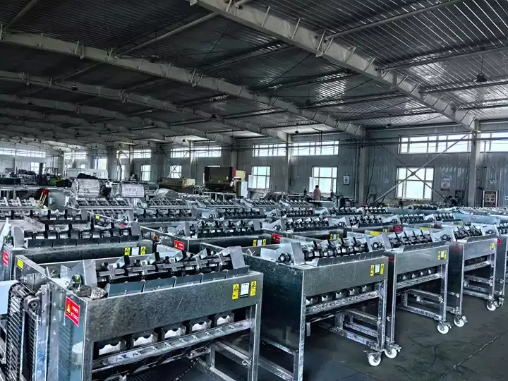 Walnut Dehulling Machine