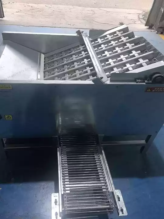 fresh walnut peeling machine